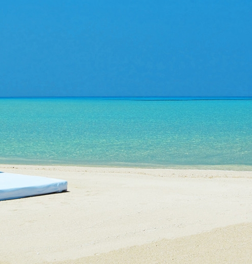 粉象生活真实收入