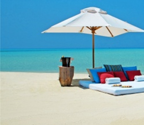 粉象世界app下载