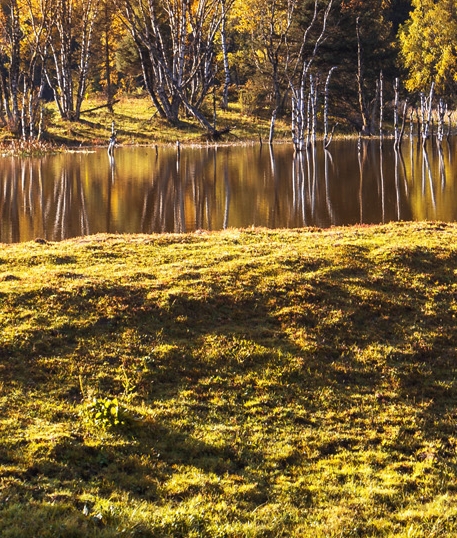 粉象生活官方APP邀请码