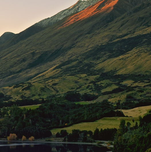 粉象生活要怎么申请