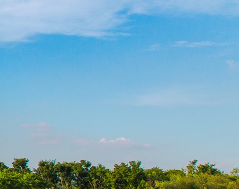 粉象生活赚钱教程