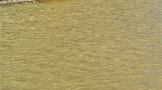 粉象生活的工资怎么领