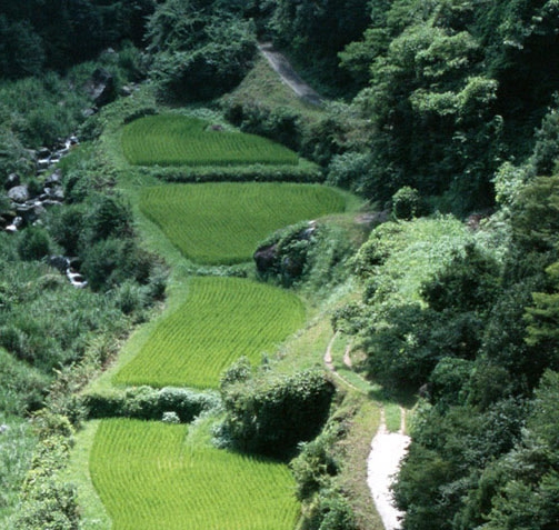 做招聘专员有发展吗