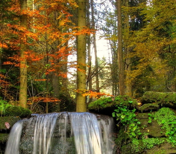 粉象生活分现金看完视频显示什么