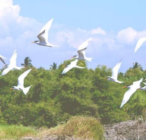 粉象生活是什么软件?能赚钱吗