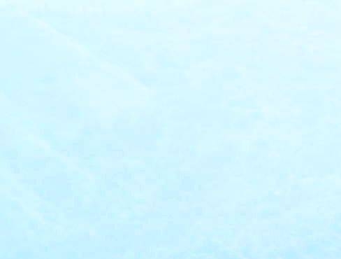 粉象生活下载app