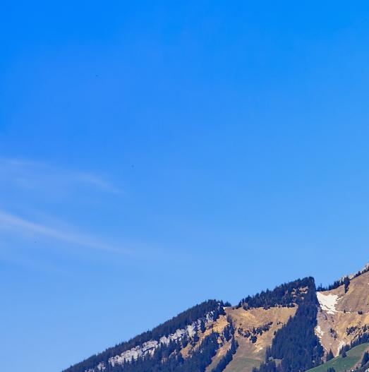 粉象生活粉丝怎么增加