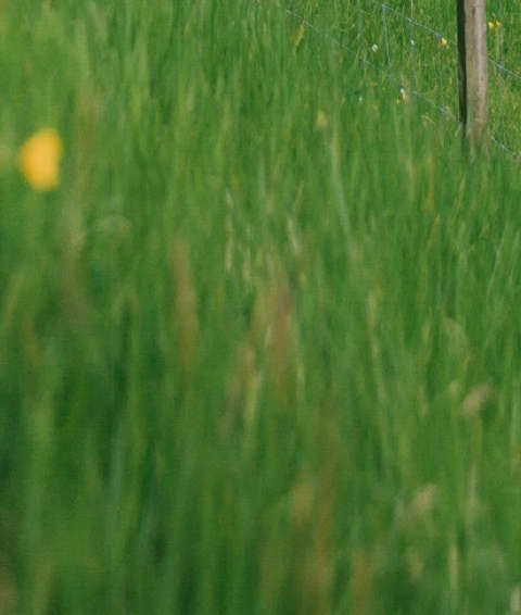 武汉粉象生活推广