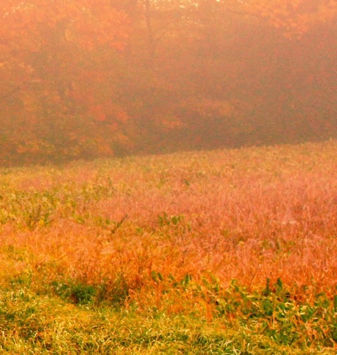 粉象生活是什么东西,真的靠谱吗