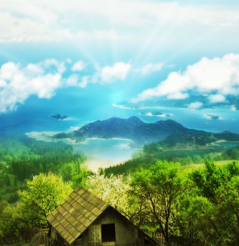 粉象生活的淘宝