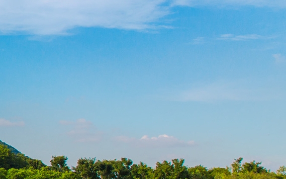 粉象生活下载app