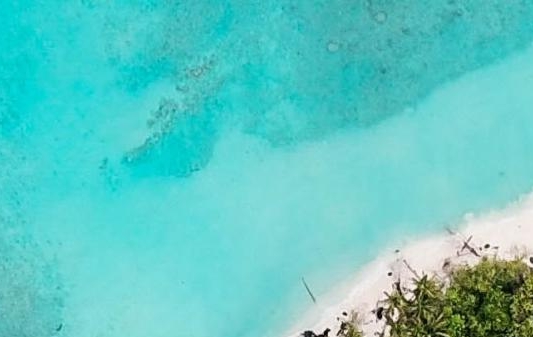 粉象生活所有内容