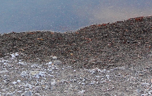 粉象人工客服电话