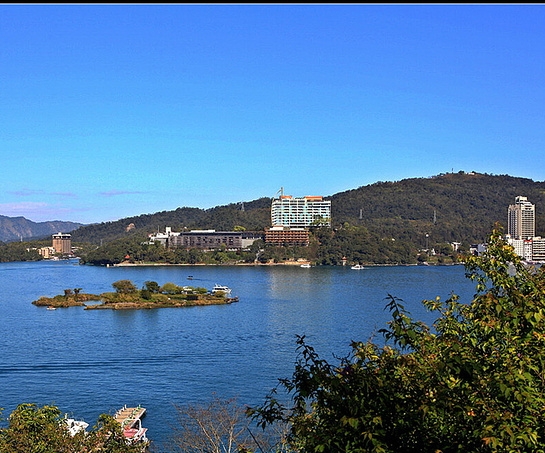 粉象生活和蜜源