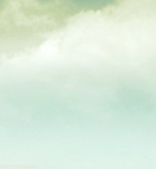 粉象生活app模式