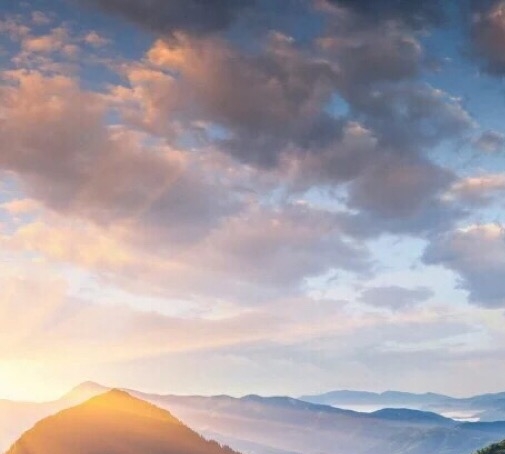 粉象生活是个什么样的平台