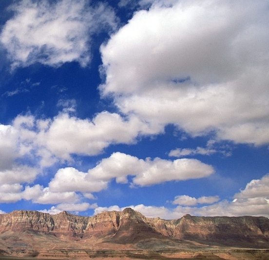 粉象生活每月要交钱吗