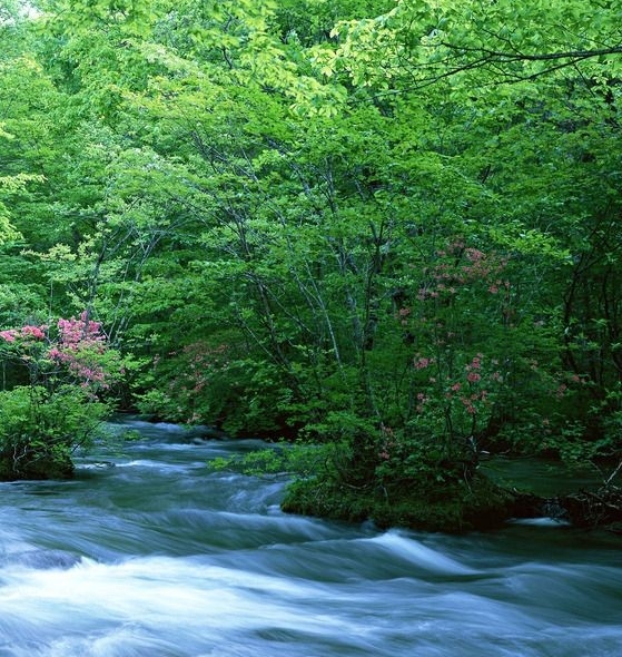 粉象生活升级后大概几天才看到收入