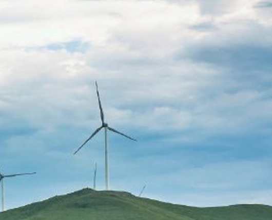 淘宝怎么解除粉象生活授权