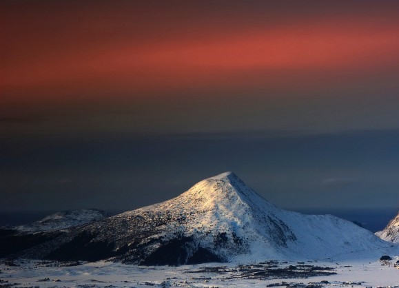粉象生活邀请码填哪个好