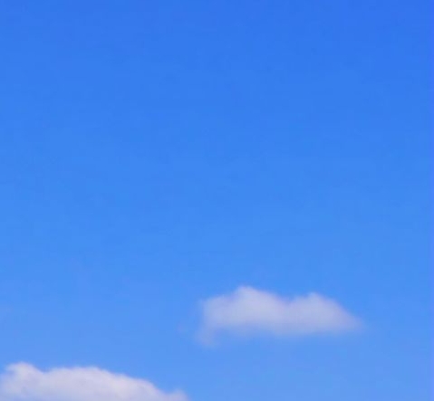 粉象生活邀请方式