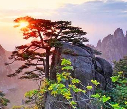 粉象生活粉丝的粉丝再粉丝