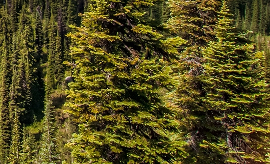 粉象生活邀请码