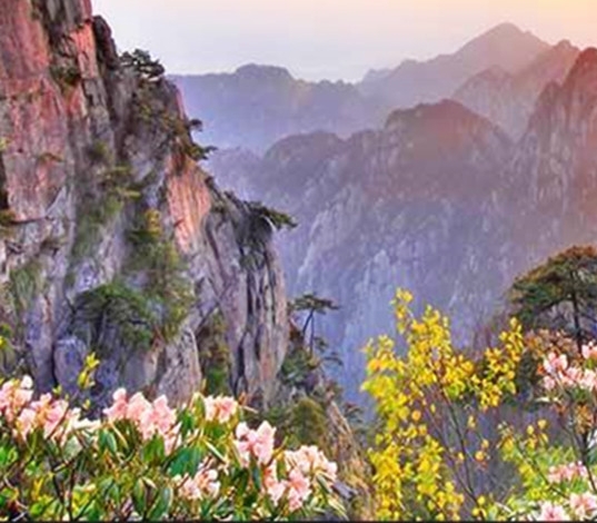 粉象生活怎么赚钱的