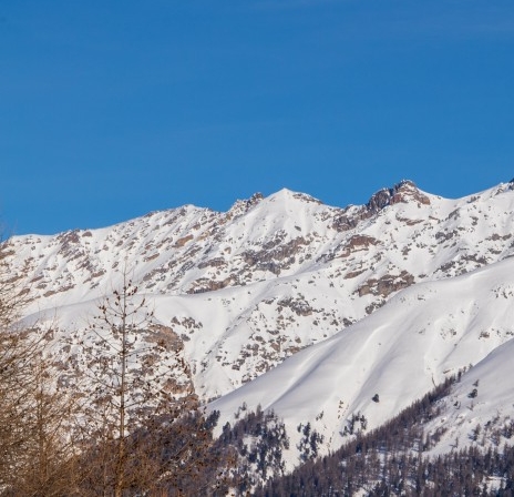 粉象生活APP能赚钱吗
