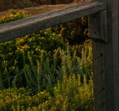 粉象生活邀请码