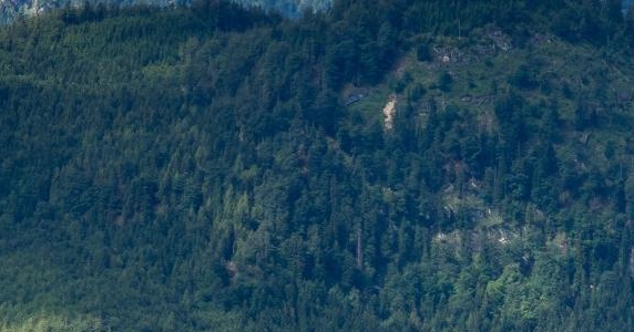 粉象生活学员真实收入