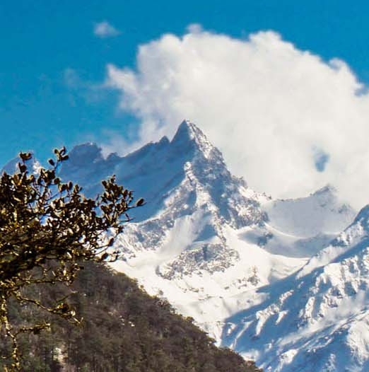 浙江象和科技有限公司