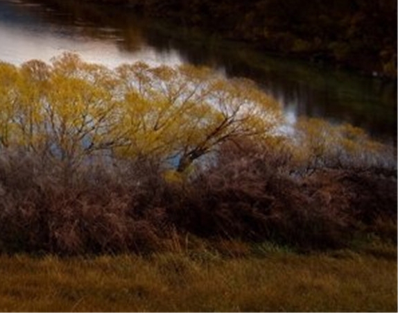 除了藕粉葛根粉还有什么粉