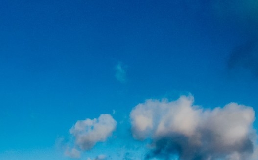 生活中的蔬菜怎么画