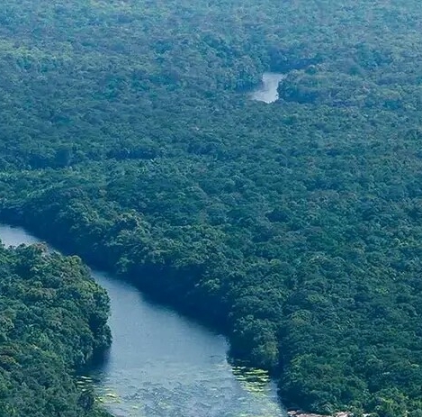 粉象生活是干嘛的