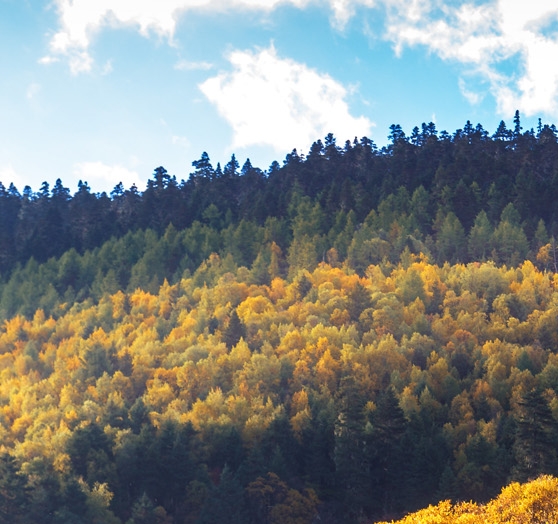 如何在粉象生活上删除粉丝