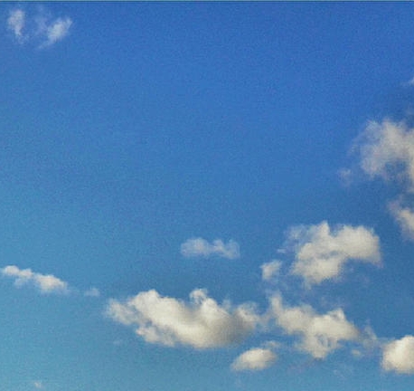 粉象返利的钱在哪里找