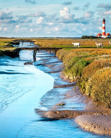 浙江低聚肽粉代理