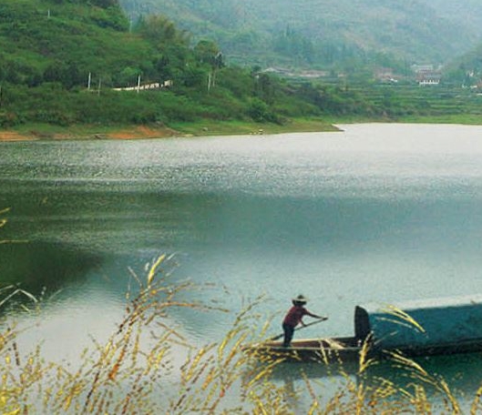 粉象生活提成问题粉象生活