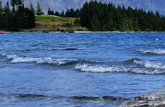 粉象生活投诉案例