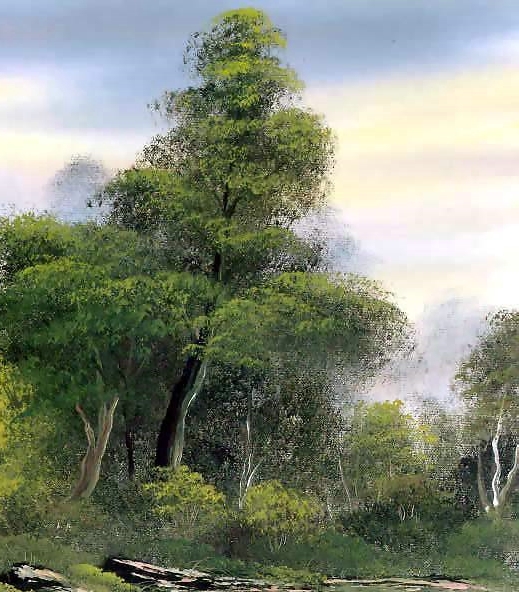 如何在粉象生活赚钱