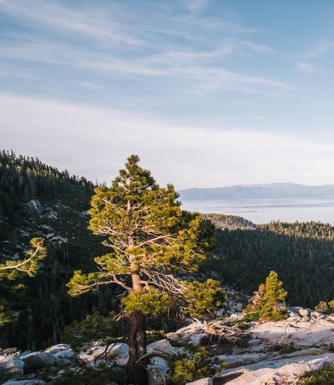 粉象生活代理怎么生成邀请码