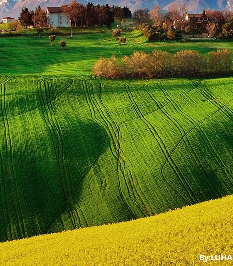 粉象生活优惠券真的便宜吗