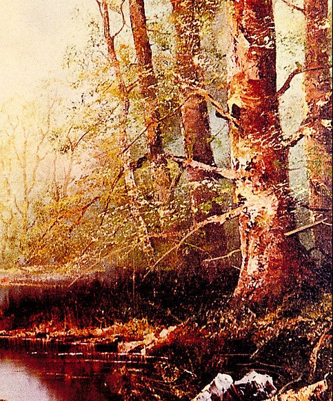 早安寄语正能量生活感悟