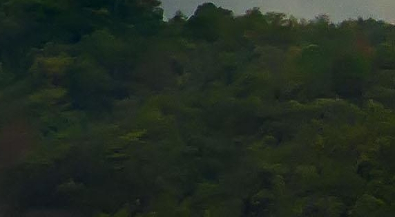 粉象生活哪里开通