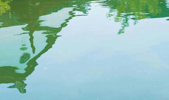 怎么在粉象生活上兼职