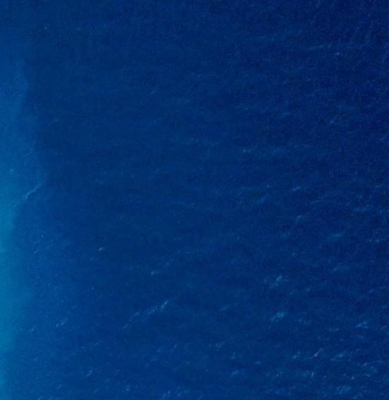 粉象生活是个什么东西