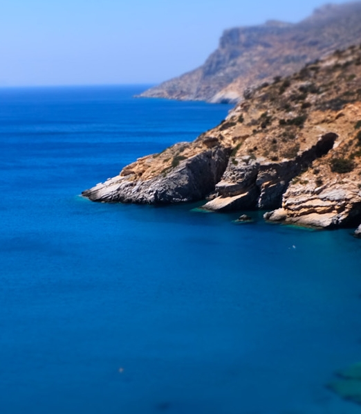 粉象生活京东怎么使用