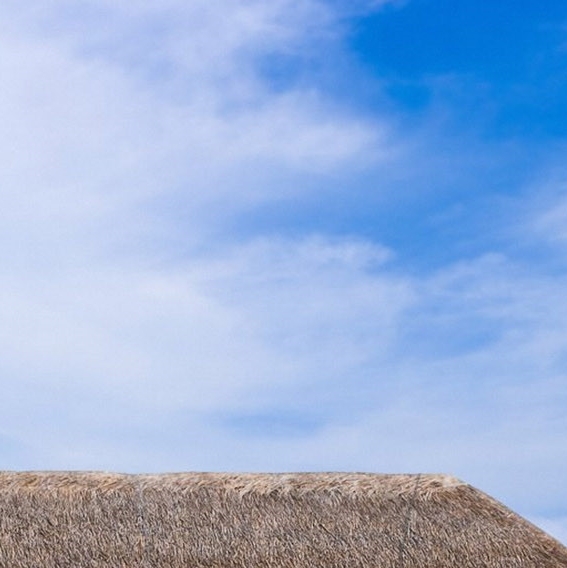 粉象生活封面图