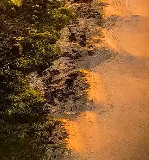 杭州粉象生活如何